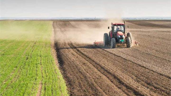 Cartura (PD) - Terreno agricolo di 50.000 mq