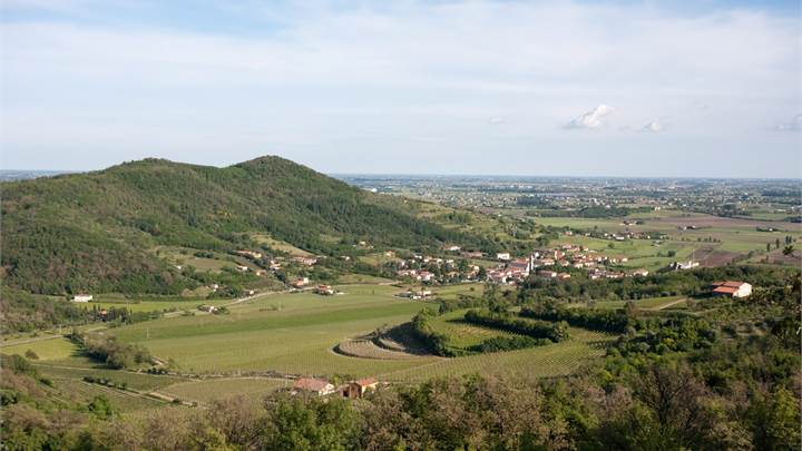 Calaone (PD) - Terreno Edificabile 1000 mq - 1200 mc