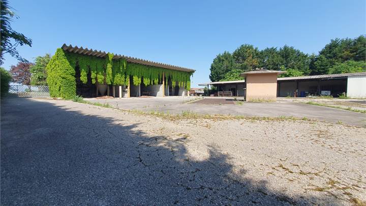 Pernumia - Ex azienda agricola