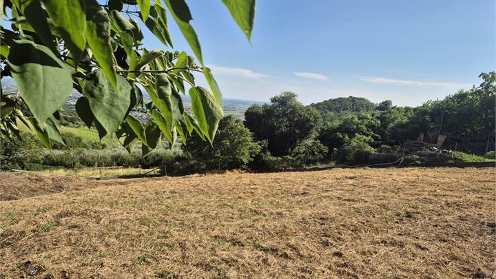 Calaone (PD) - Terreno Edificabile 1000 mq - 1200 mc